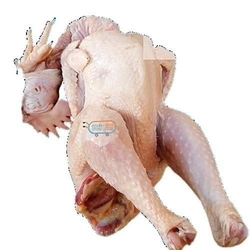/media/products/CHICKEN-OLD-LAYER-FRZ-PCS.jpg